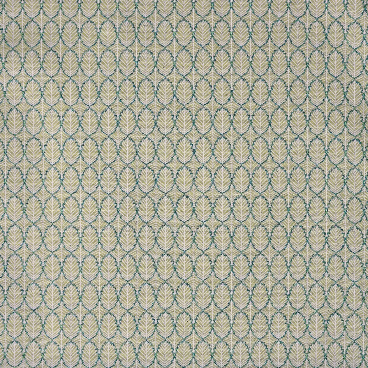 Variation 3