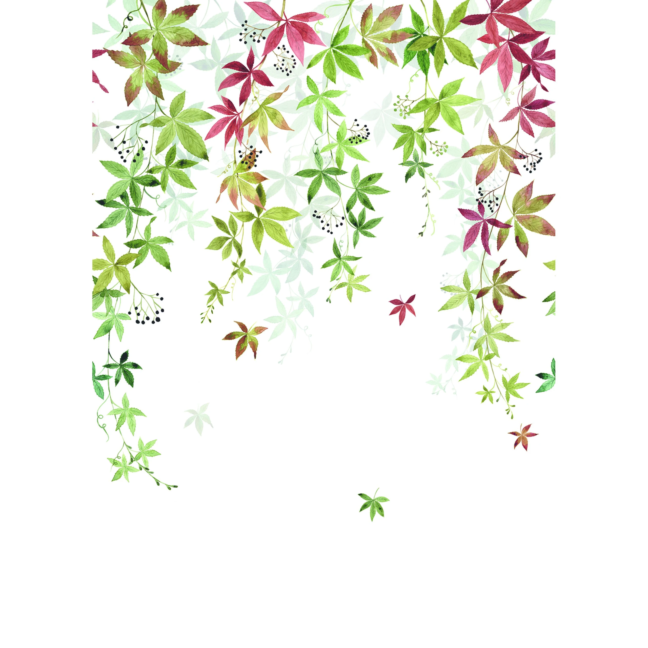 Variation 2