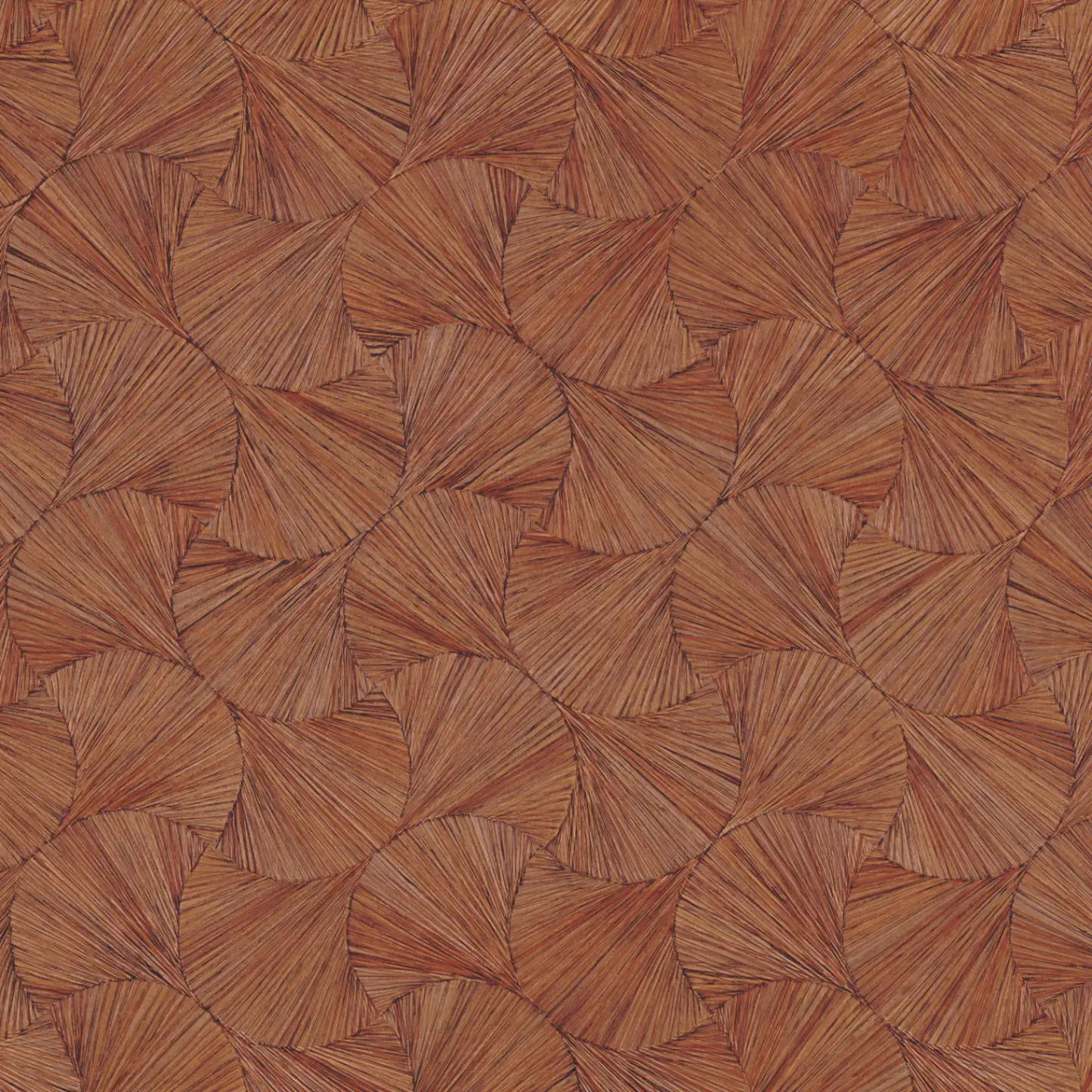 Variation 5