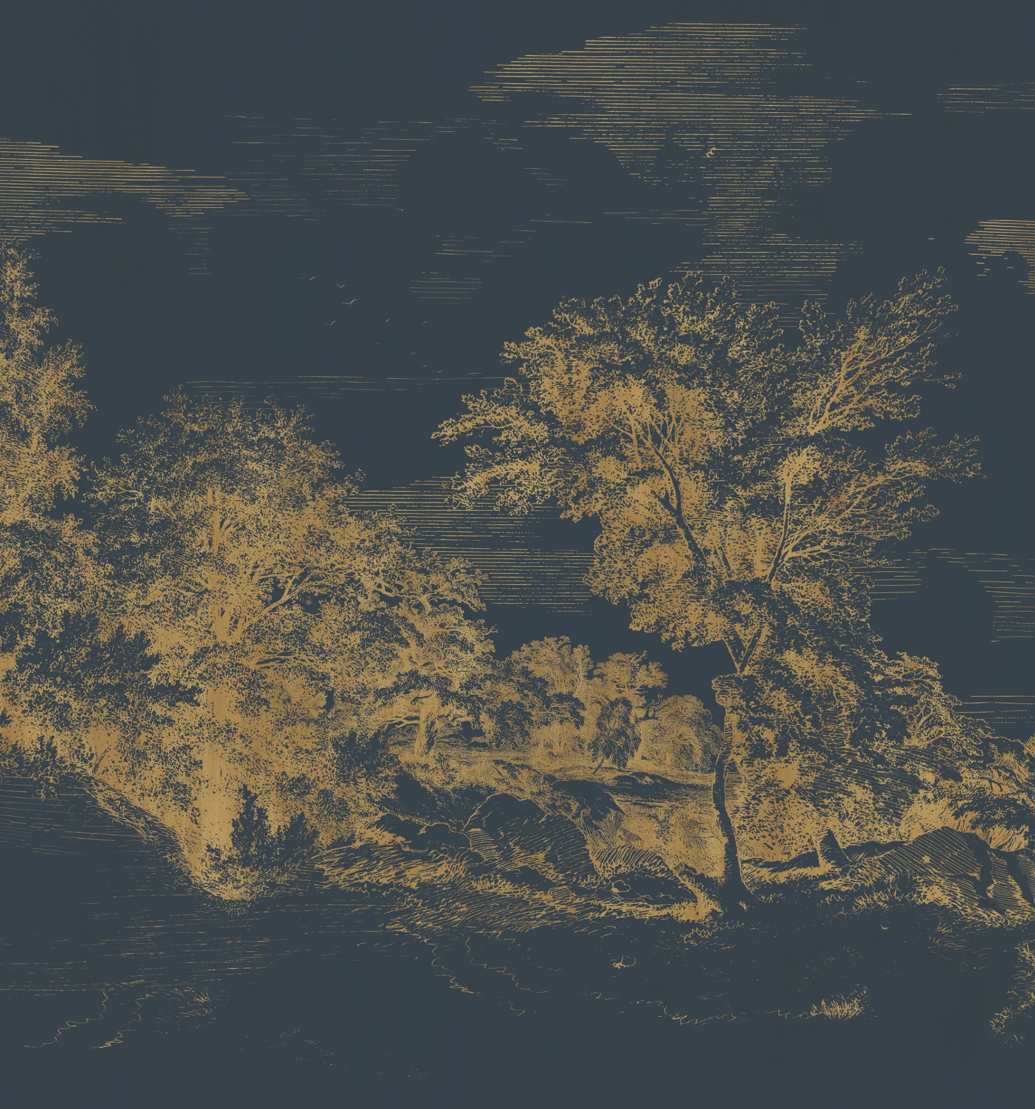 Variation 1