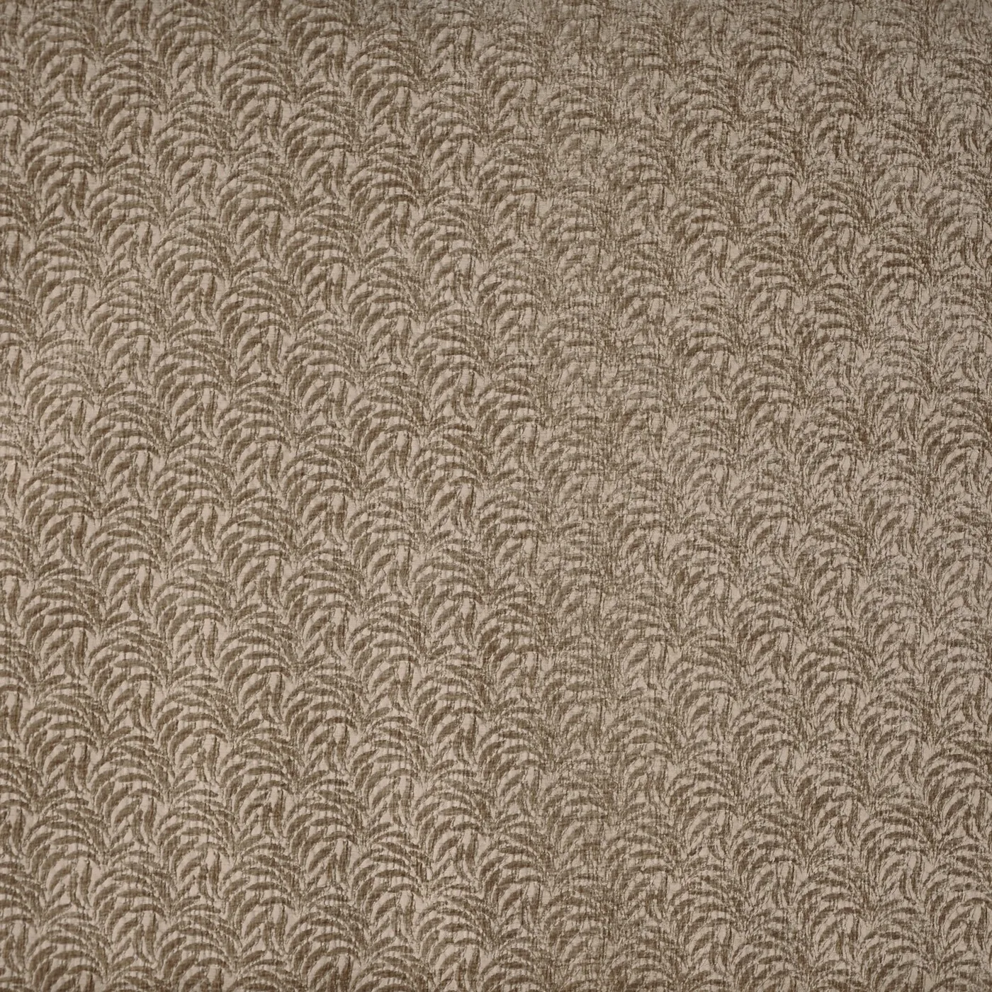Variation 5