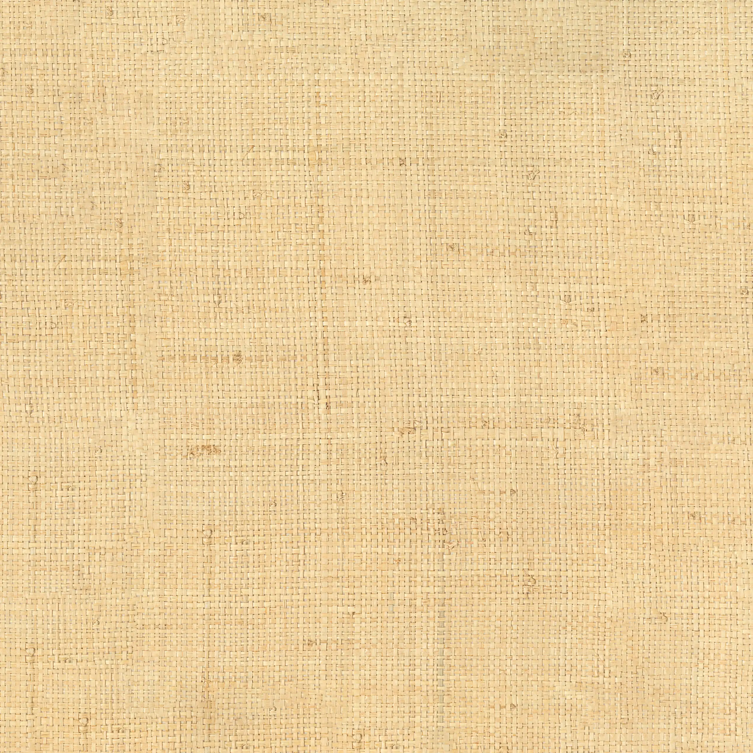 Variation 14