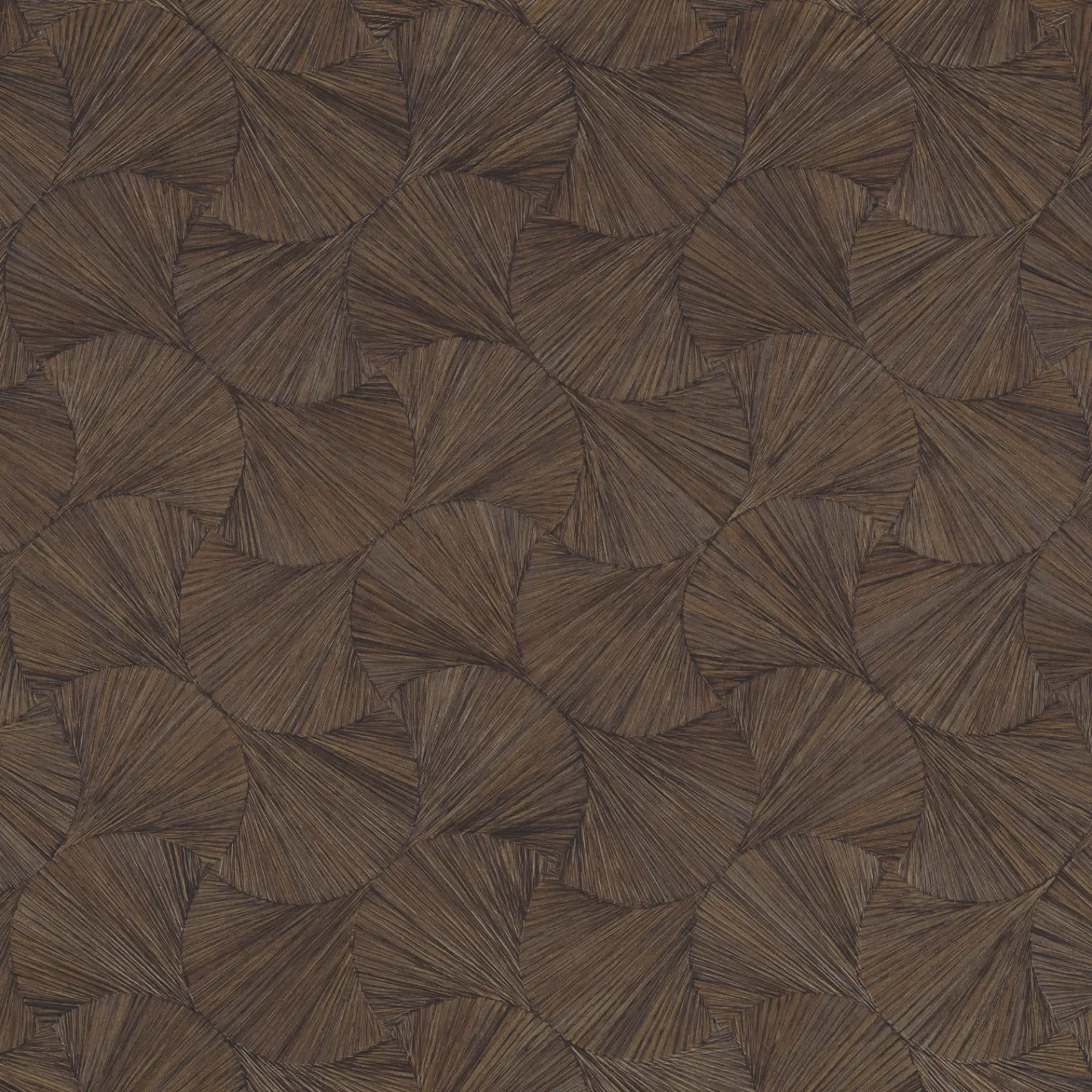 Variation 7