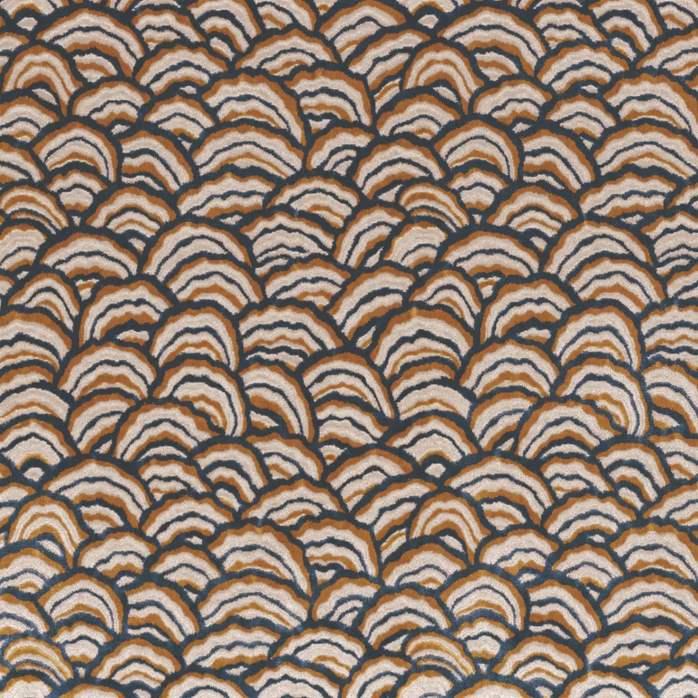 Variation 1