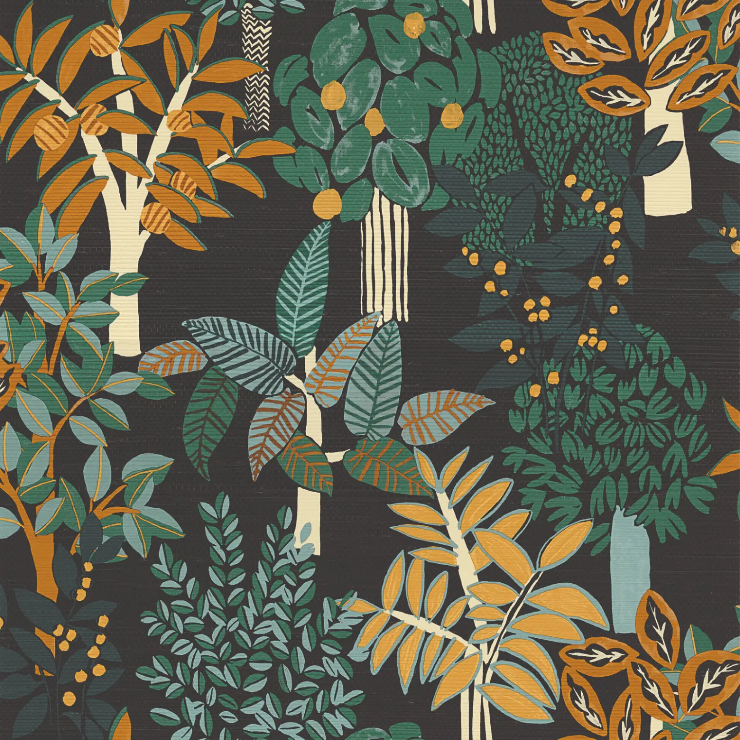 Variation 4