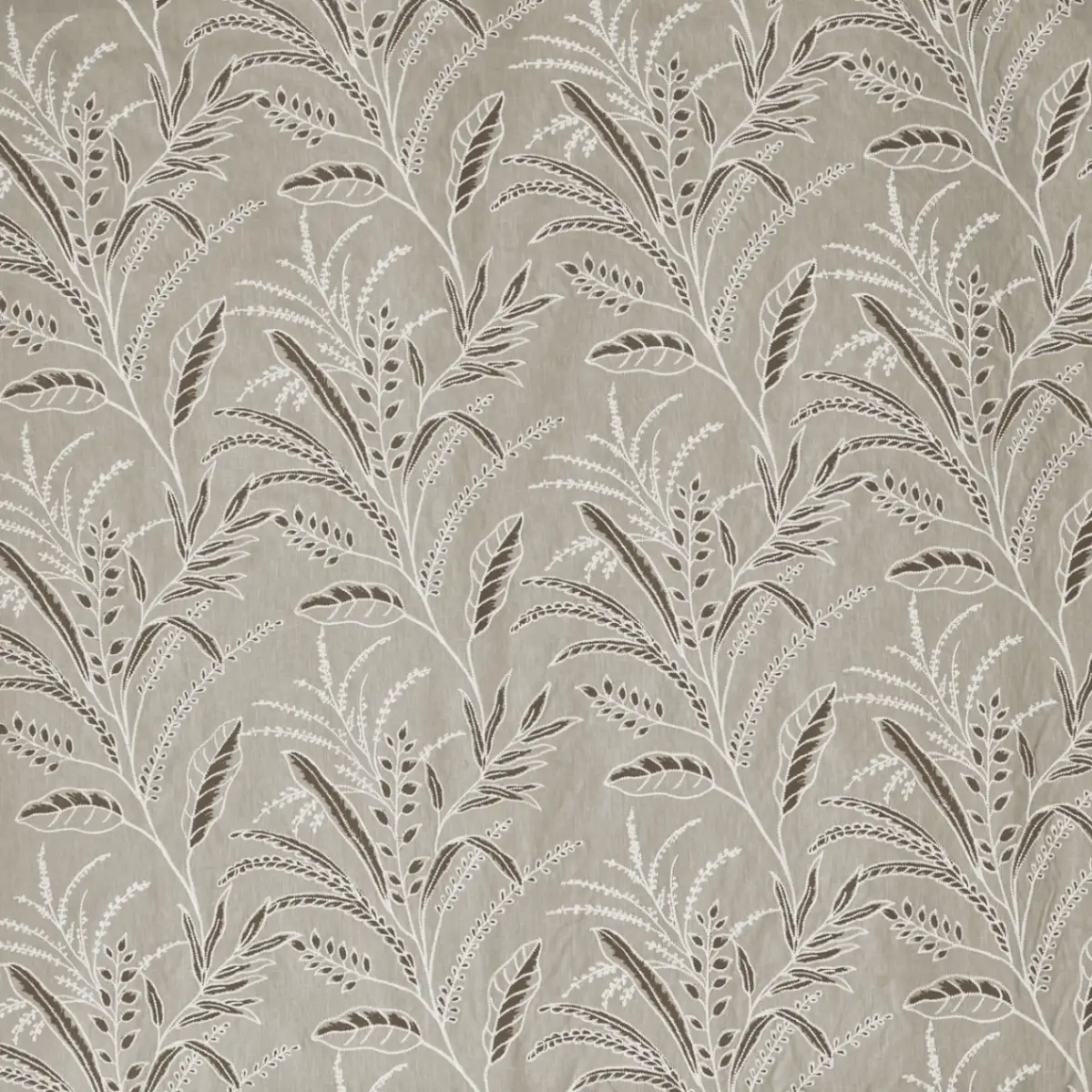 Variation 2