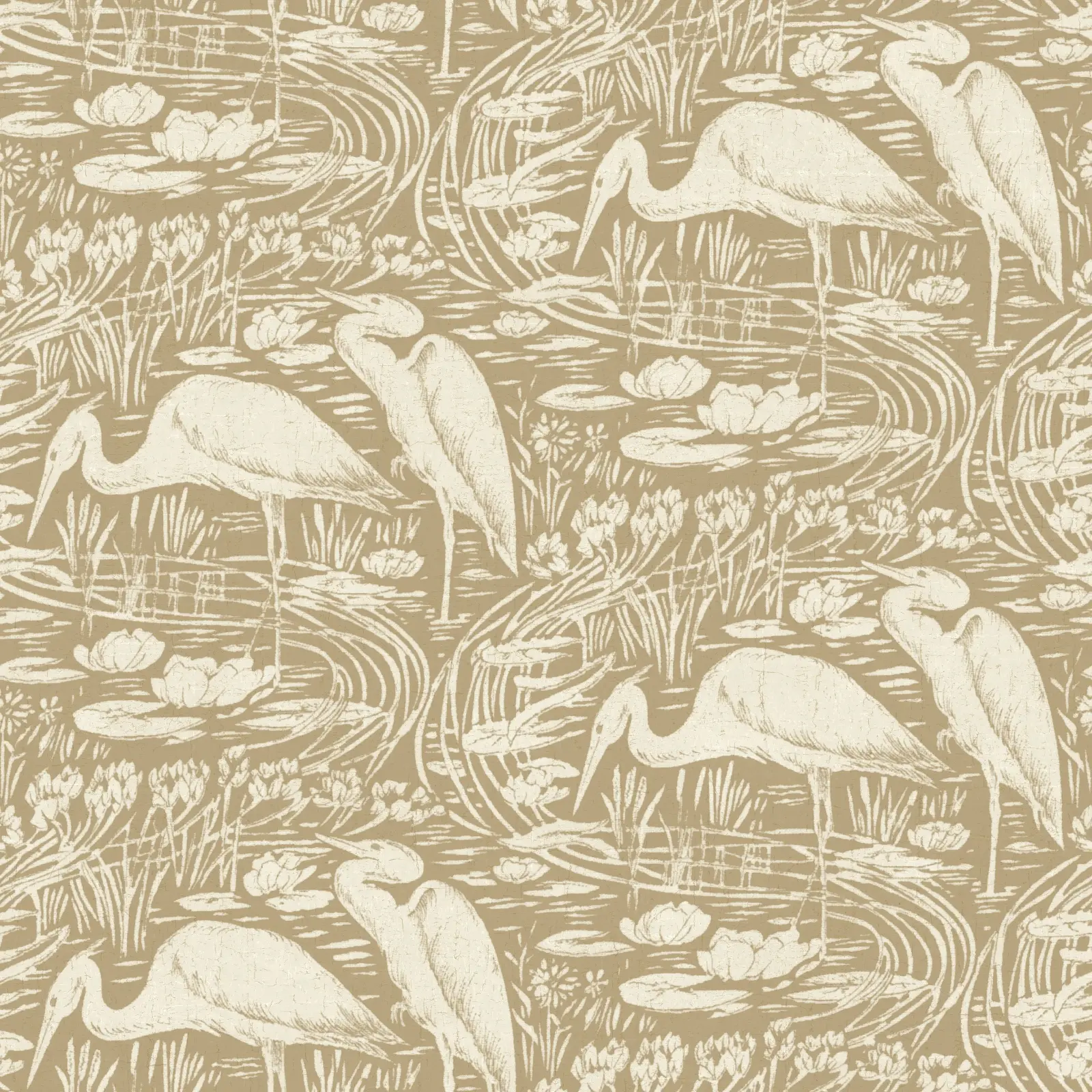 Variation 1