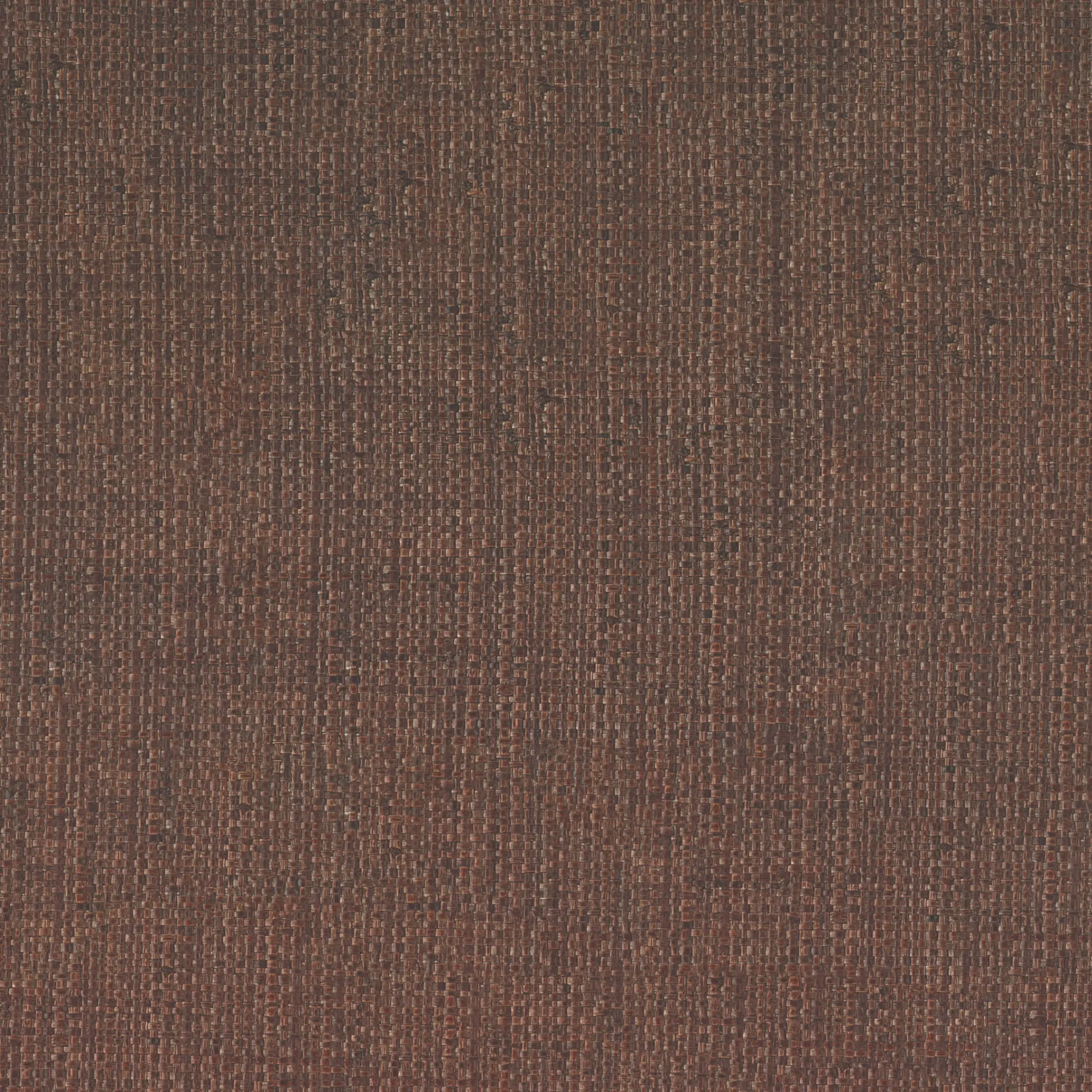 Variation 11
