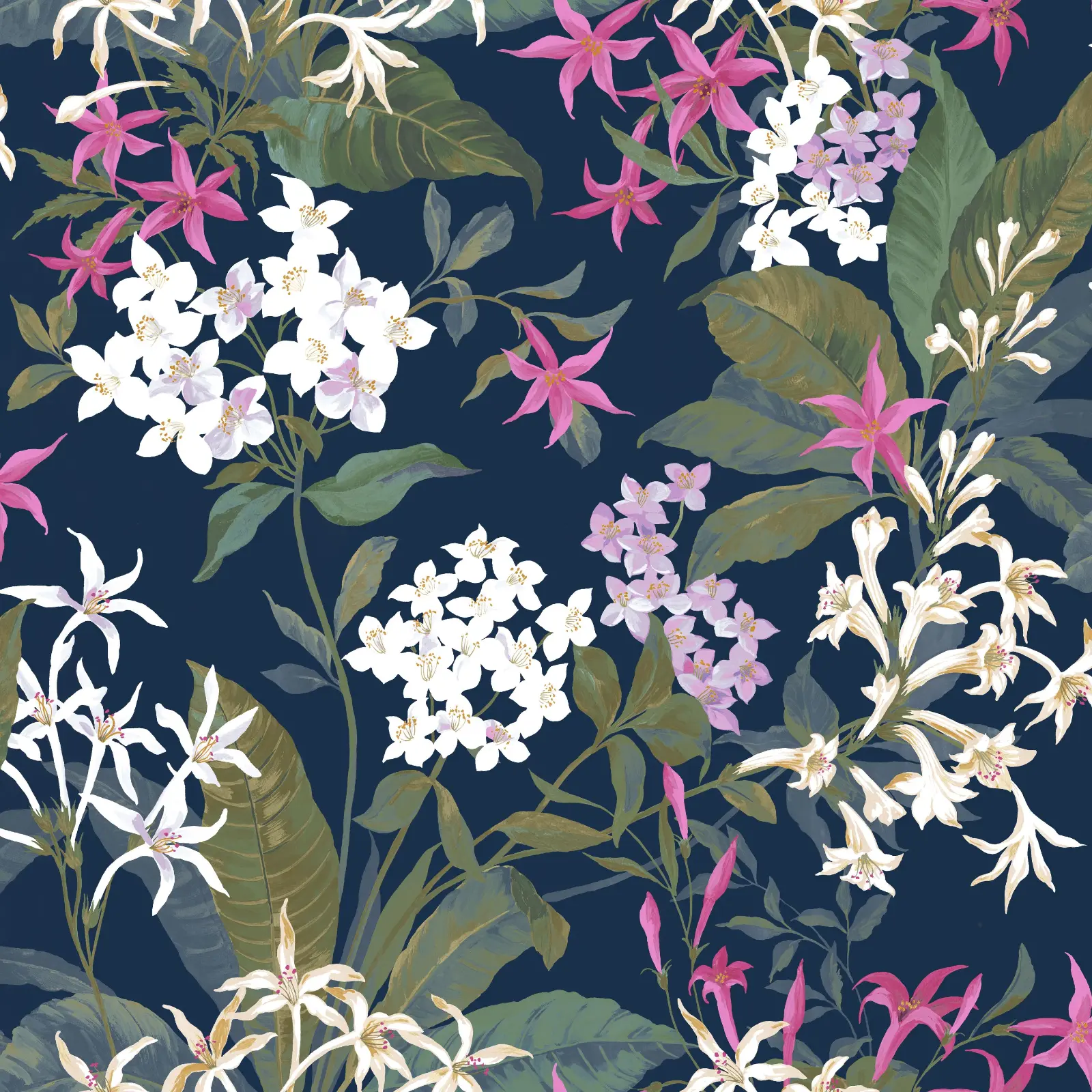 Variation 2