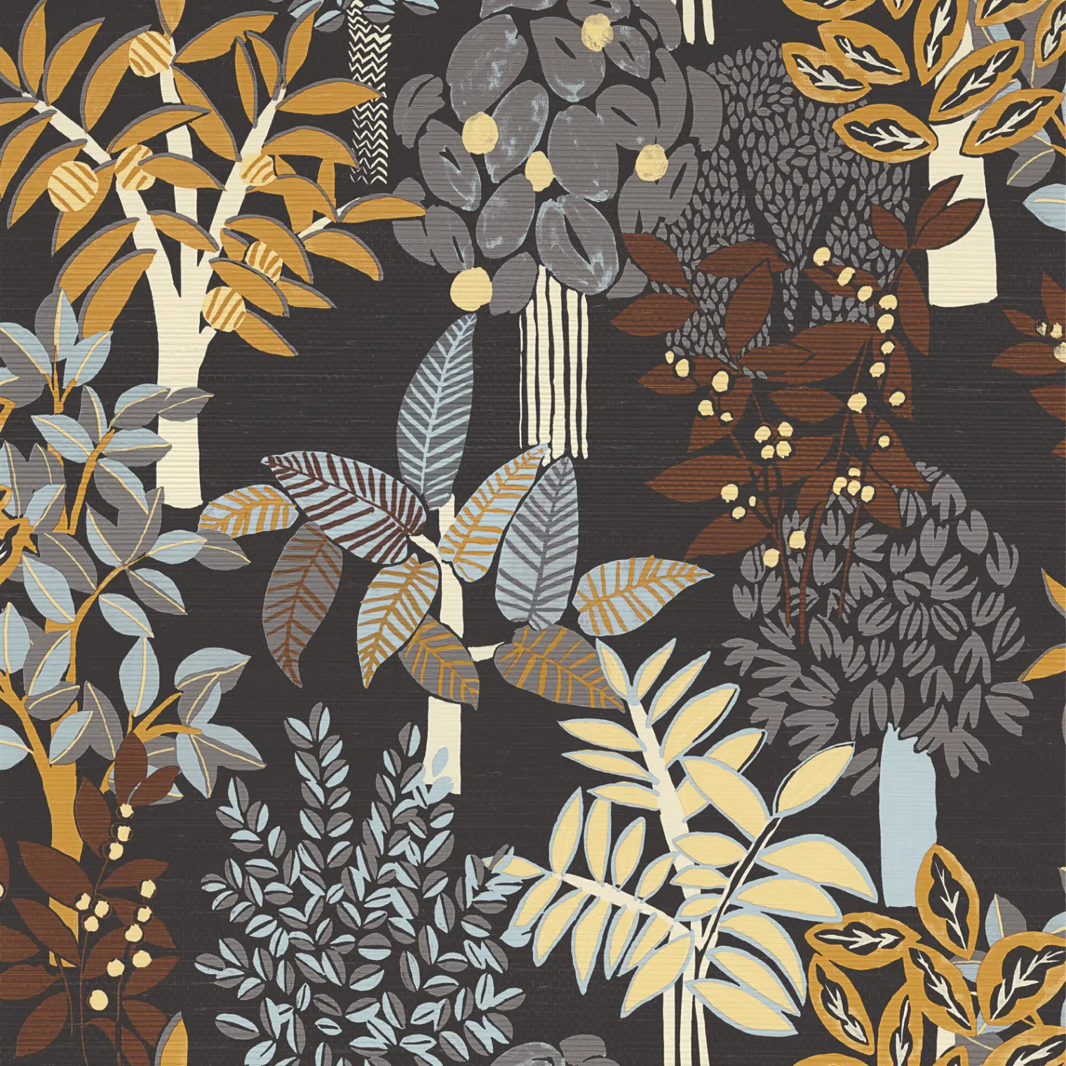 Variation 5