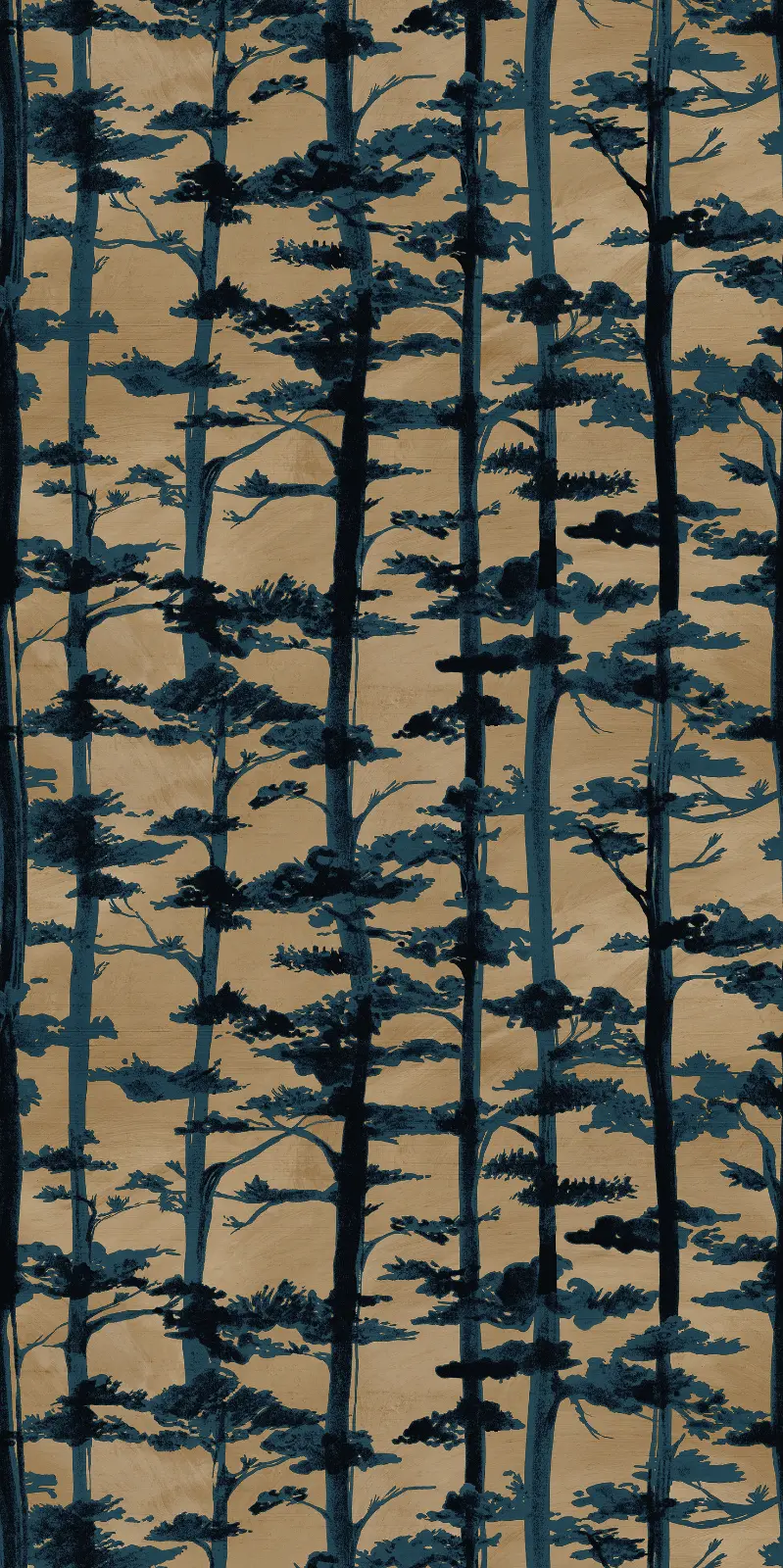 Variation 1
