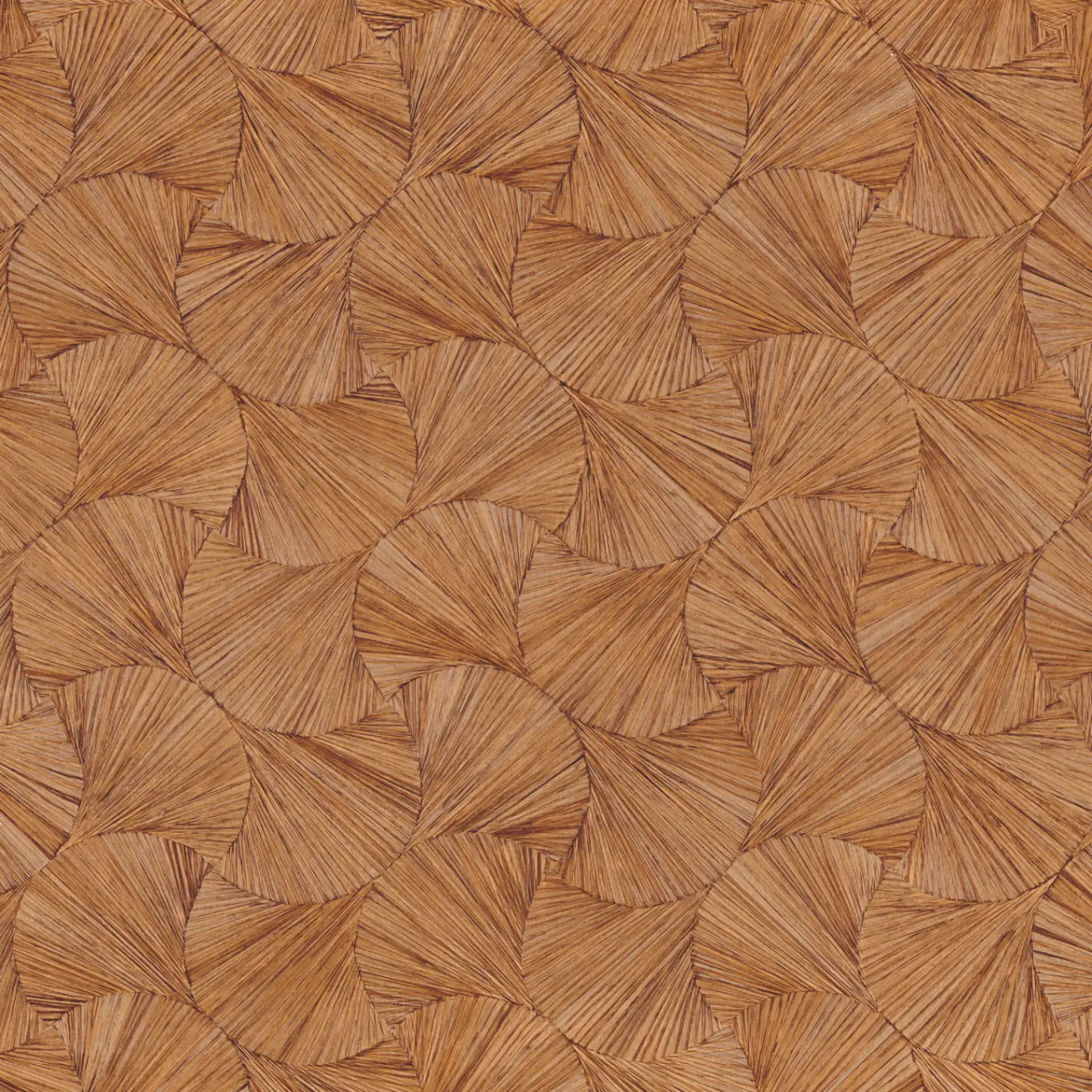 Variation 4
