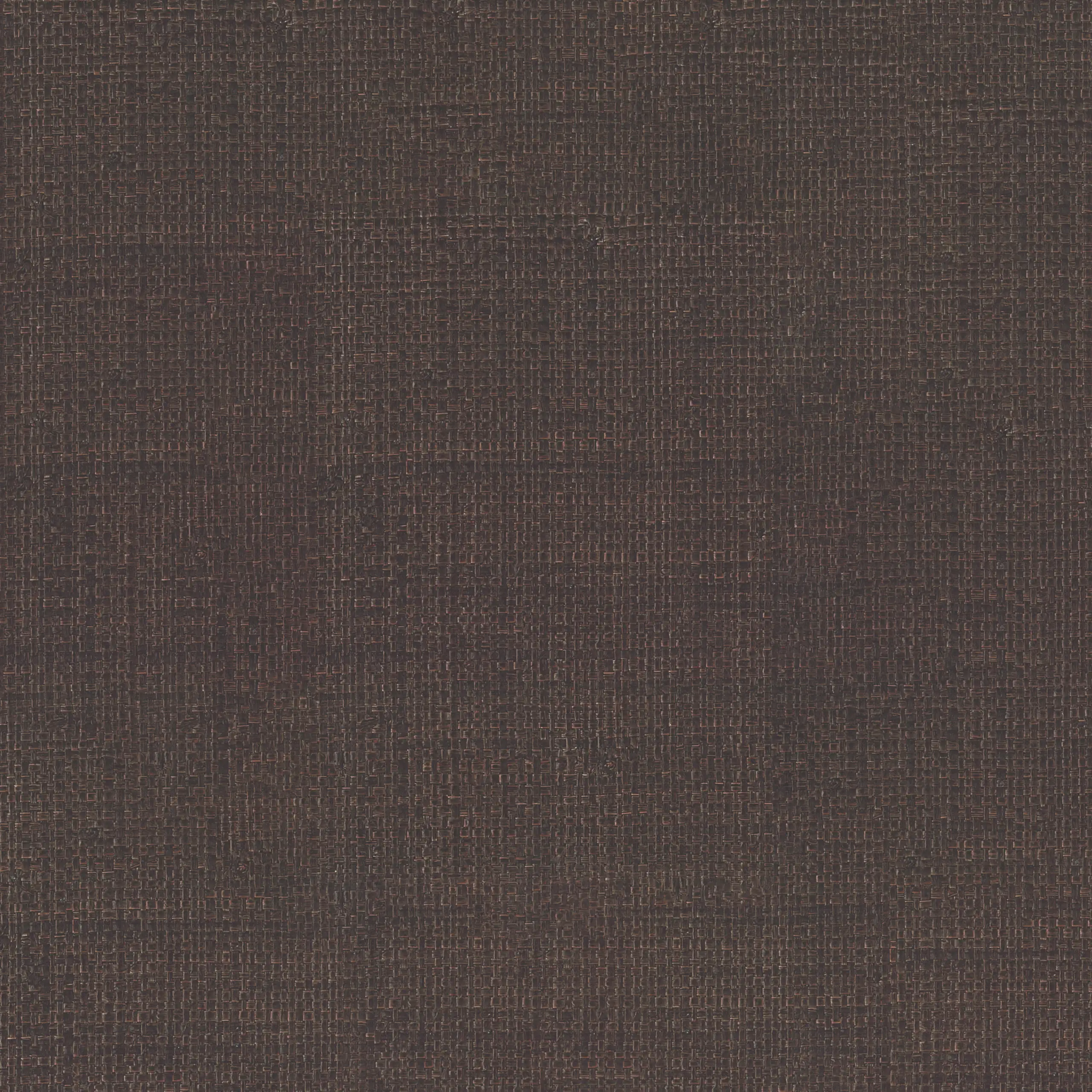 Variation 13
