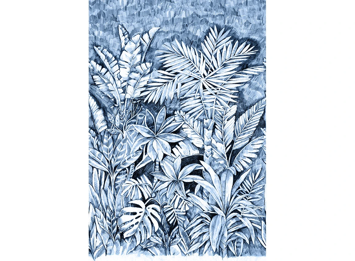 Variation 3