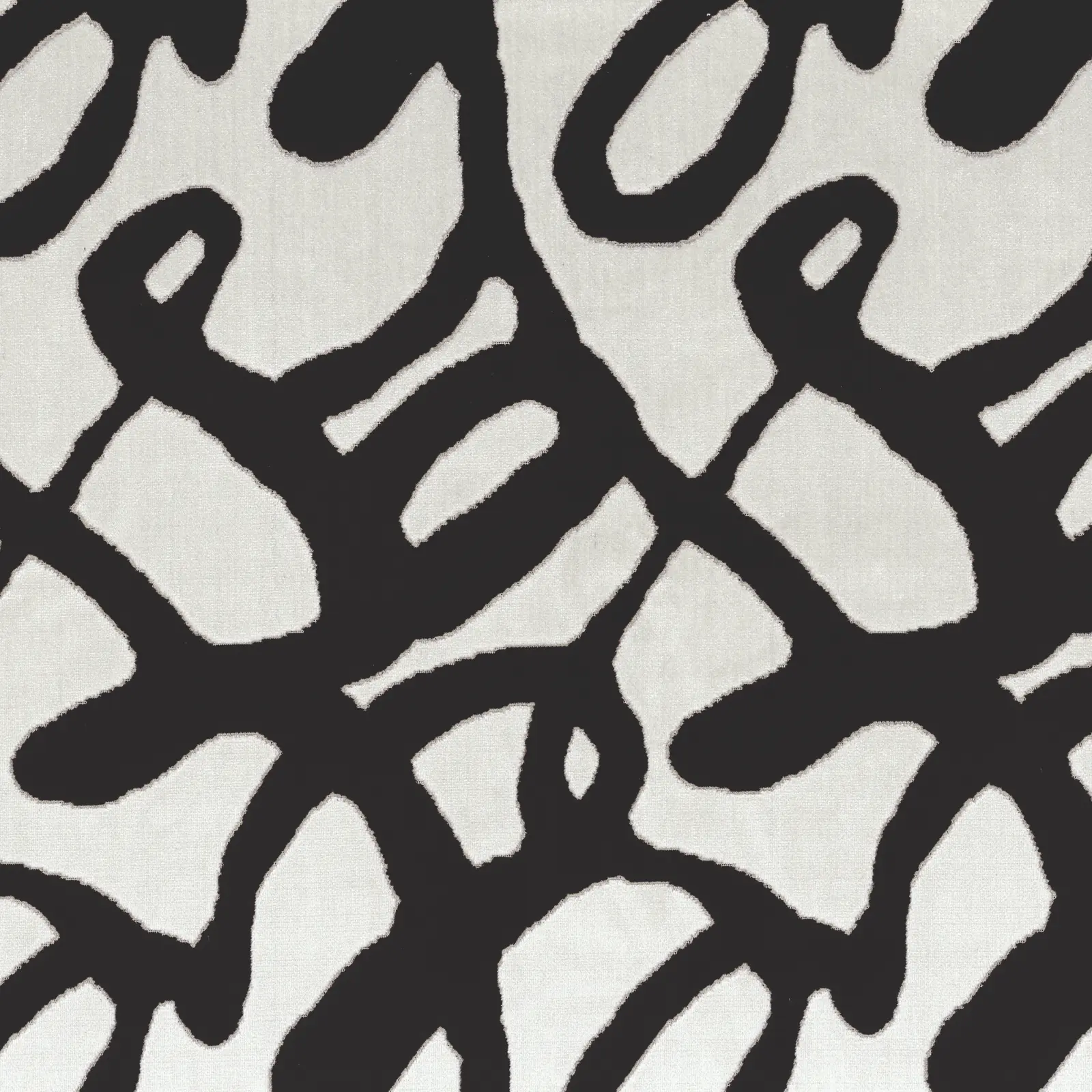 Variation 1