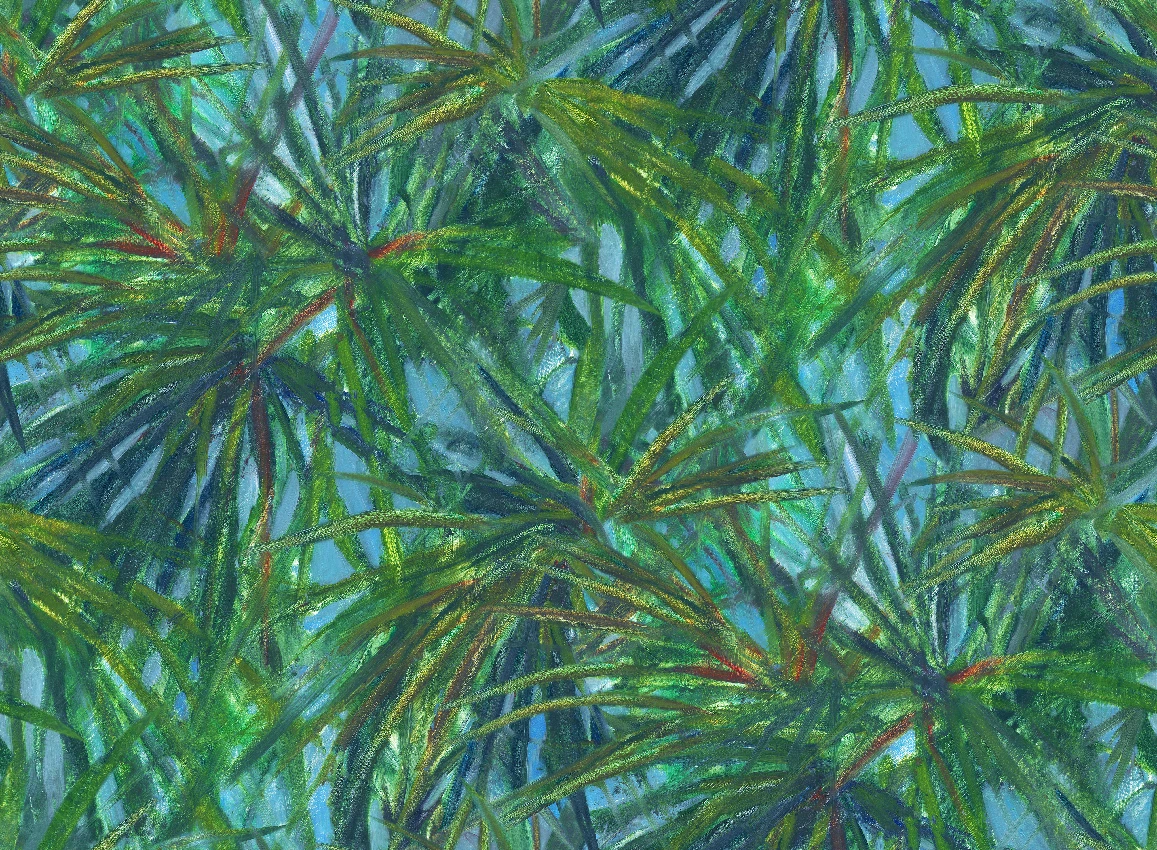 Variation 1