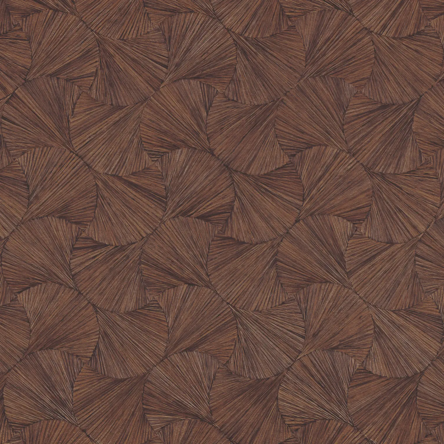 Variation 6