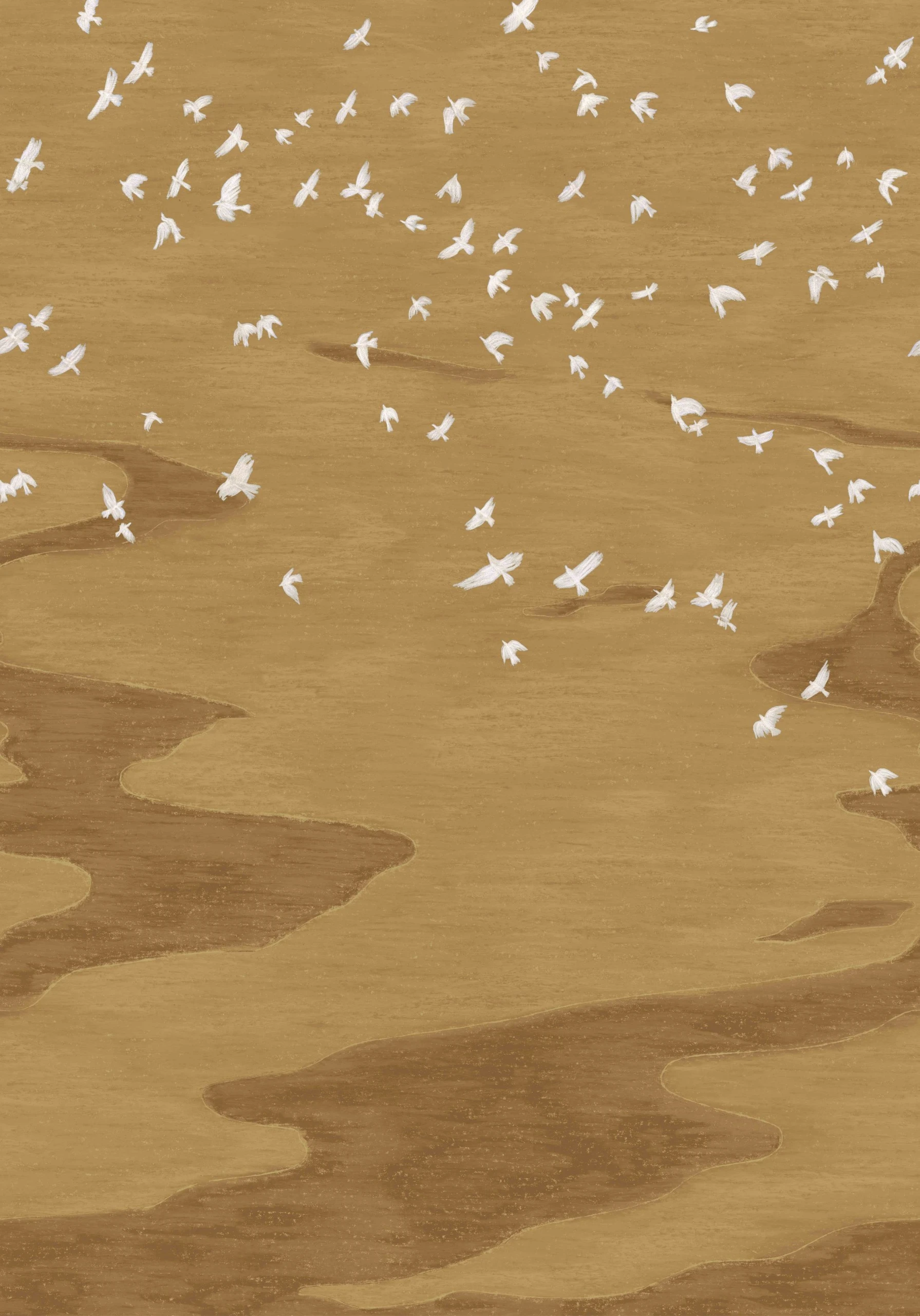 Variation 1
