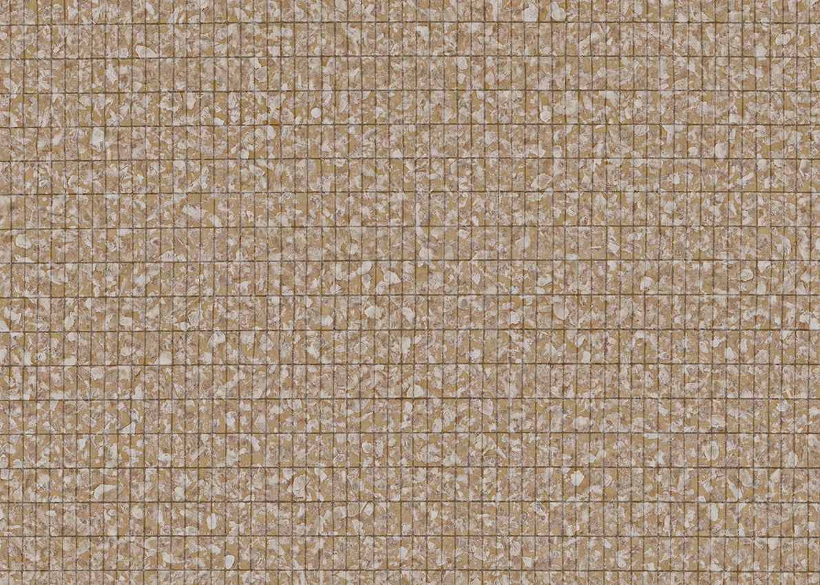 Variation 5